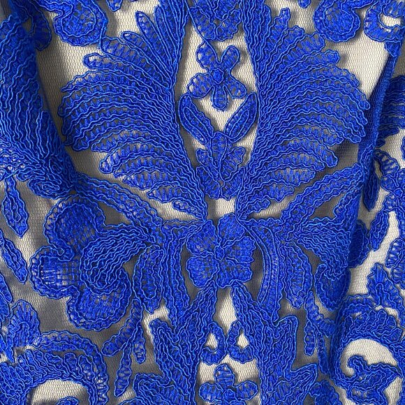 Tadashi Shoji Blue Lace Stretch Evening Gown - Size 10 but very stretchy! - Picture 2 of 4